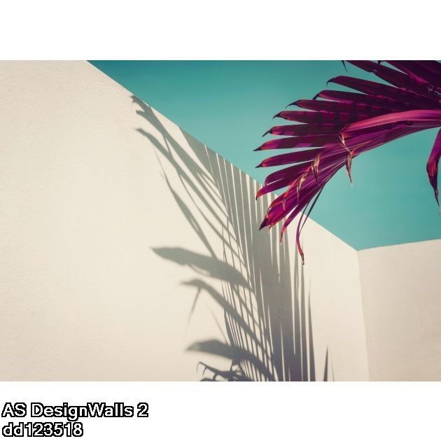 AS DesignWalls 2 dd123518