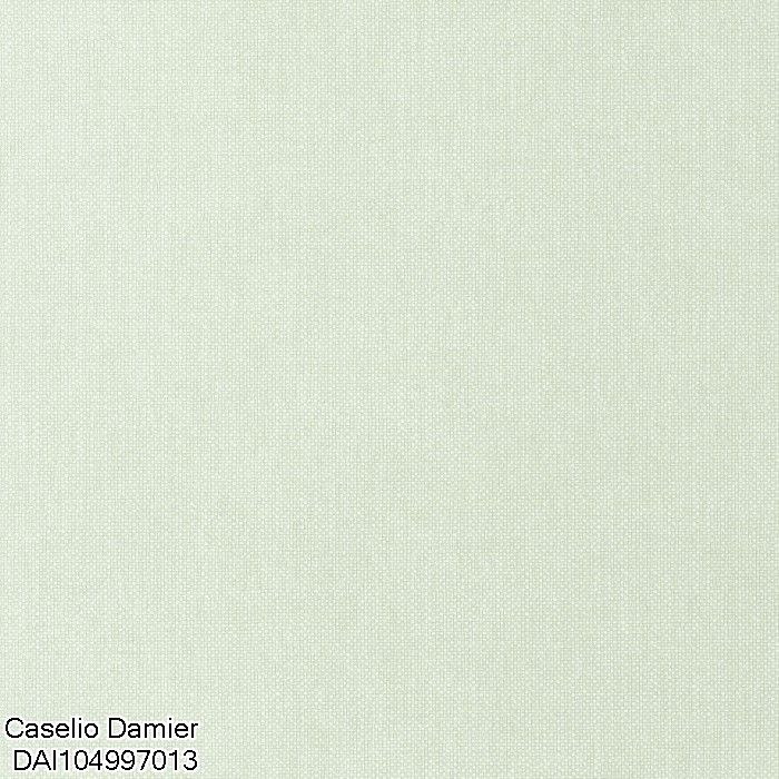 DAI104997013