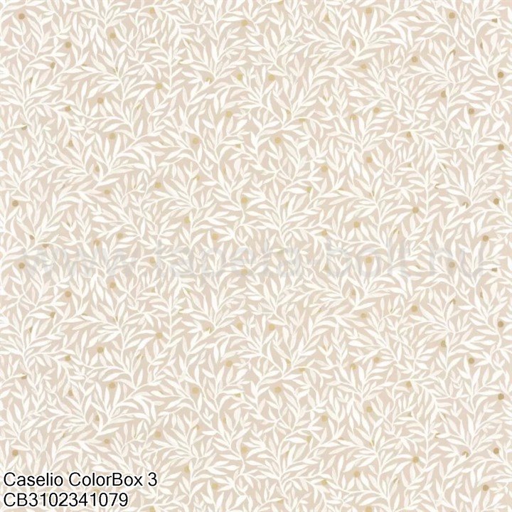 Caselio Colorbox 3 Cb3102341079