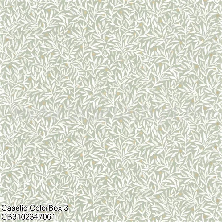 Caselio Colorbox 3 Cb3102347061