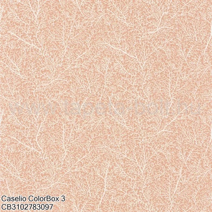 Caselio Colorbox 3 Cb3102783097