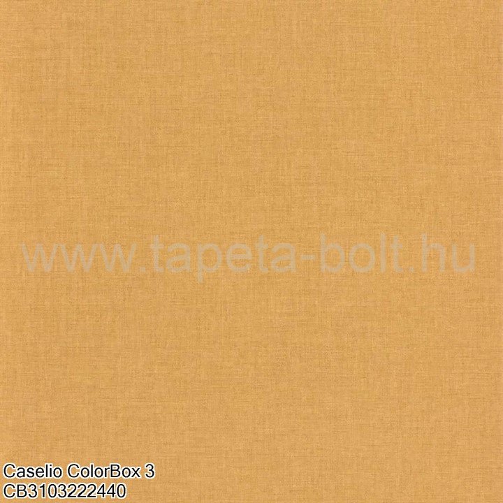 Caselio Colorbox 3 Cb3103222440