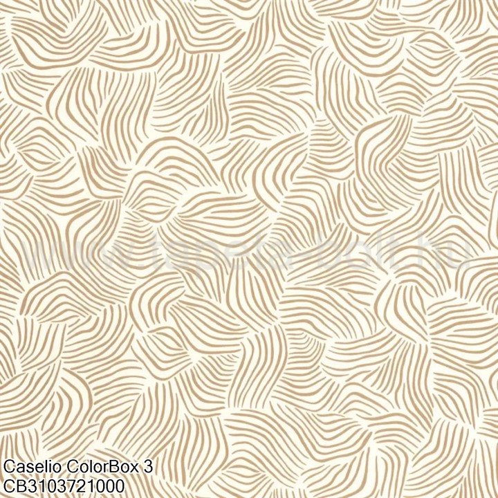 Caselio Colorbox 3 Cb3103721000