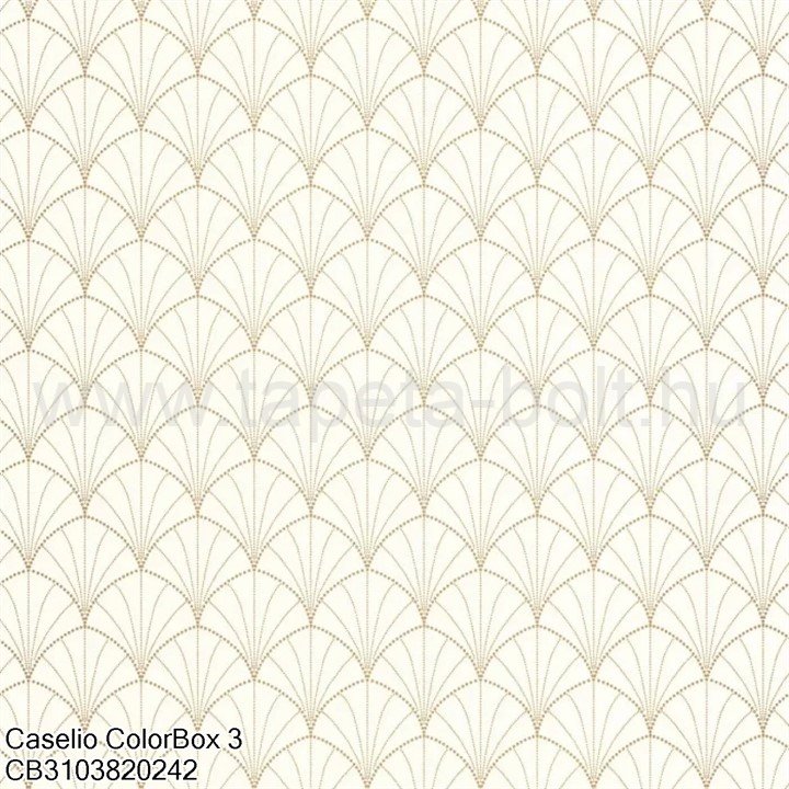 Caselio Colorbox 3 Cb3103820242