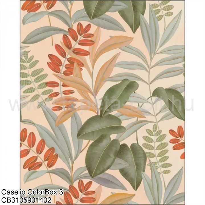 Caselio Colorbox 3 Cb3105901402
