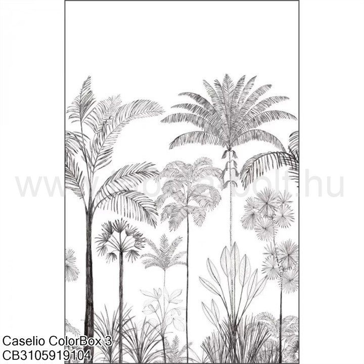 Caselio Colorbox 3 Cb3105919104