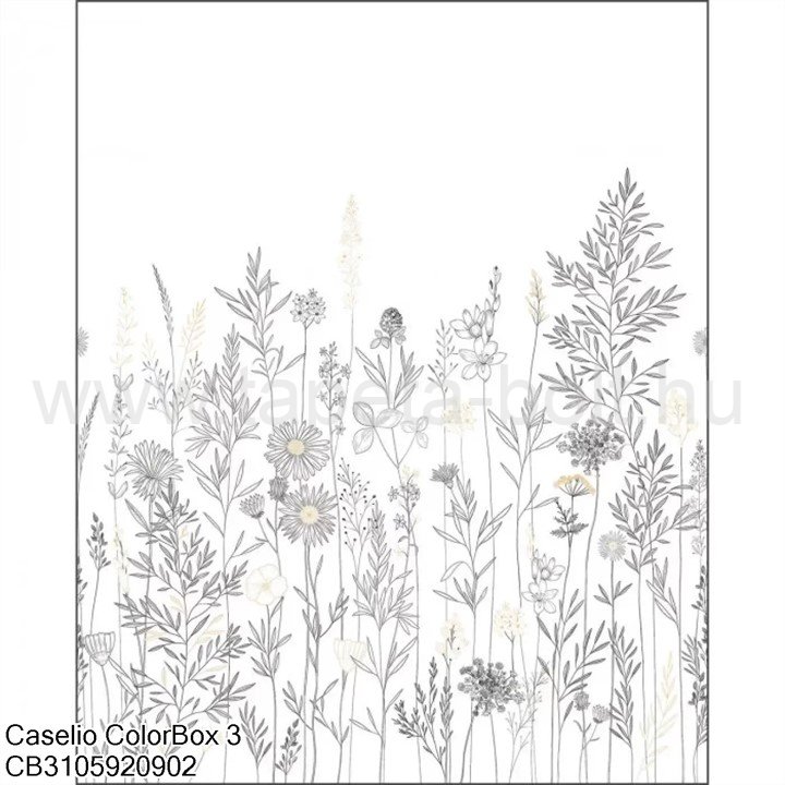 Caselio Colorbox 3 Cb3105920902