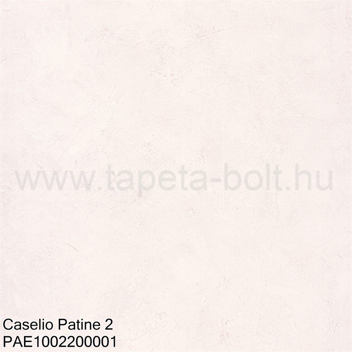 Caselio Patine 2 Pae1002200001