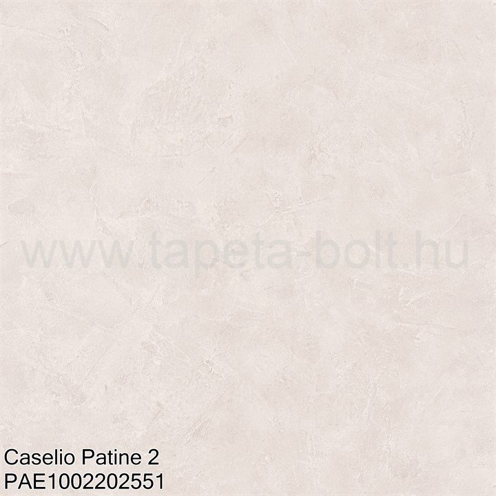 Caselio Patine 2 Pae1002202551