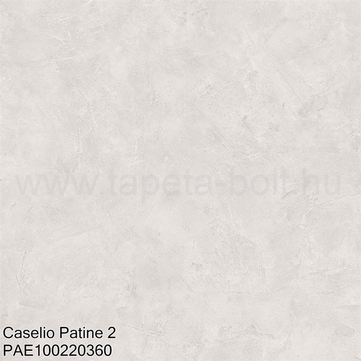 Caselio Patine 2 Pae100220360