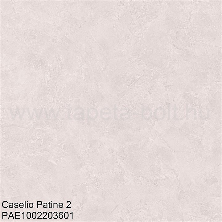 Caselio Patine 2 Pae1002203601