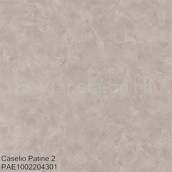 Caselio Patine 2 Pae1002204301