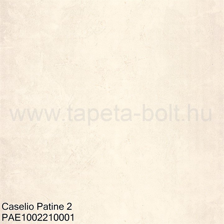 Caselio Patine 2 Pae1002210001