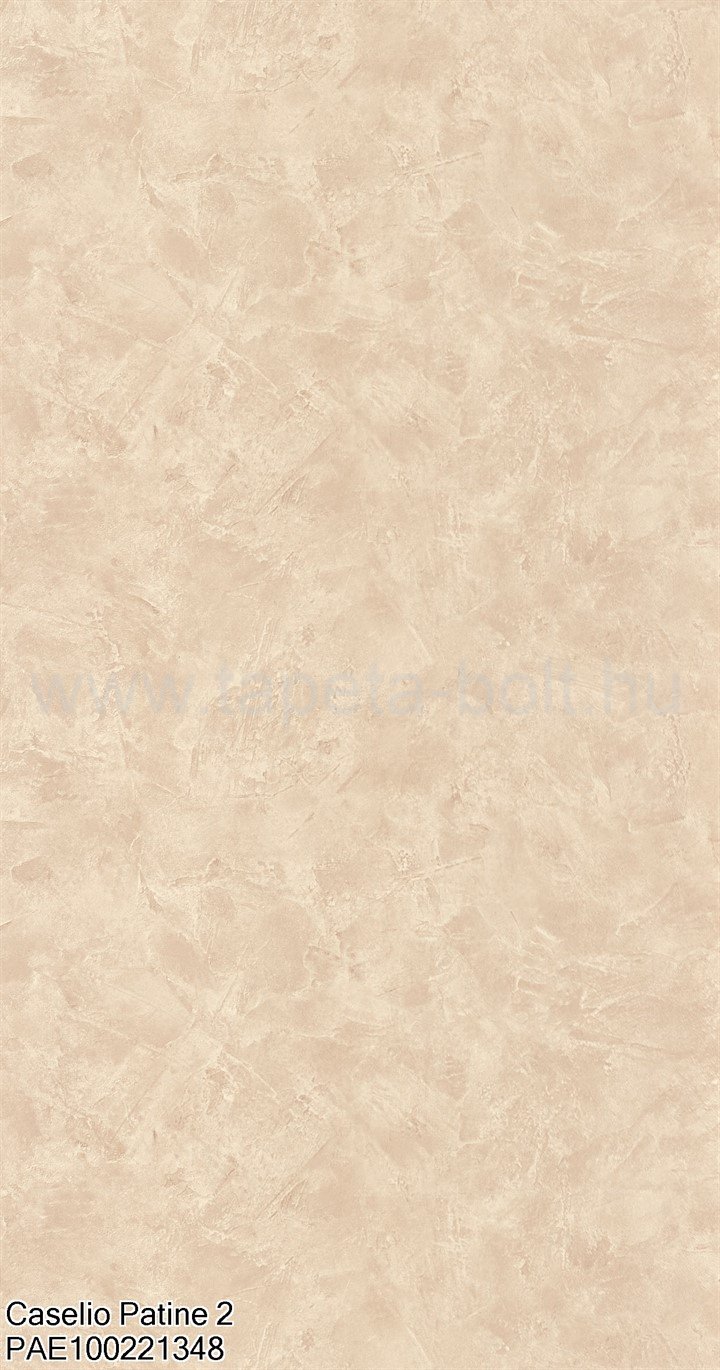 Caselio Patine 2 Pae100221348