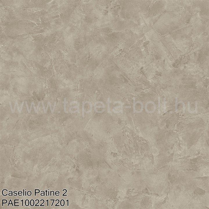 Caselio Patine 2 Pae1002217201