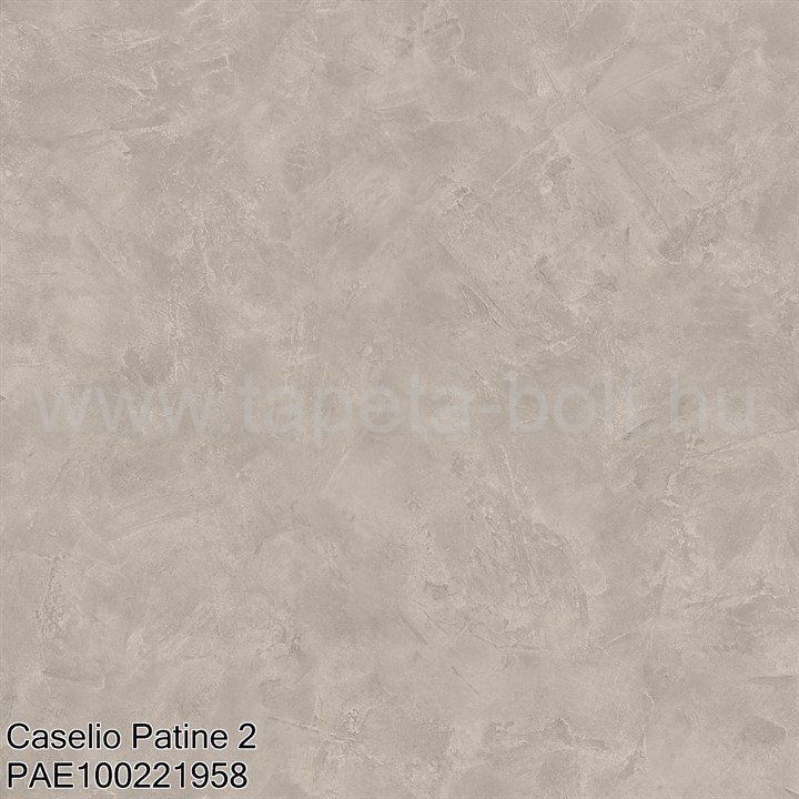 Caselio Patine 2 Pae100221958