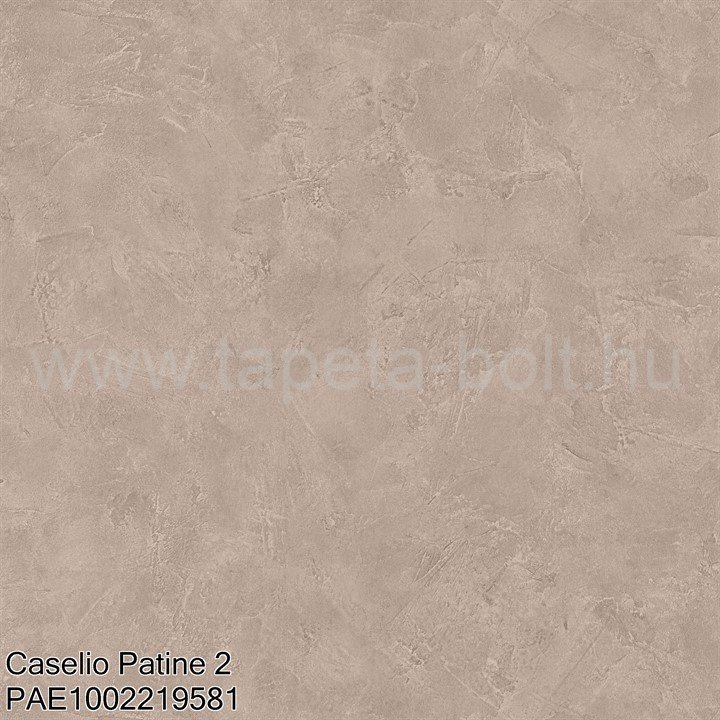 Caselio Patine 2 Pae1002219581