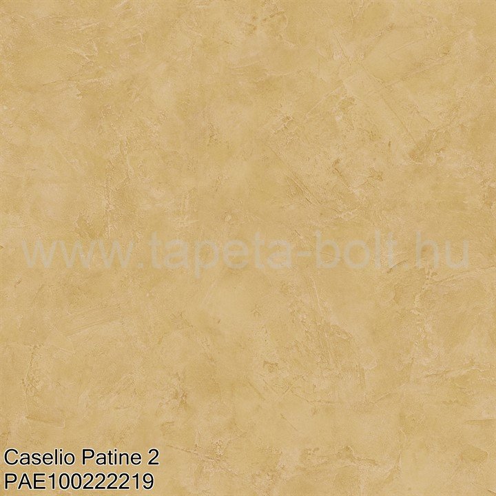 Caselio Patine 2 Pae100222219