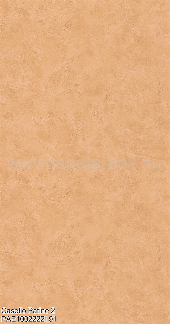 Caselio Patine 2 Pae1002222191
