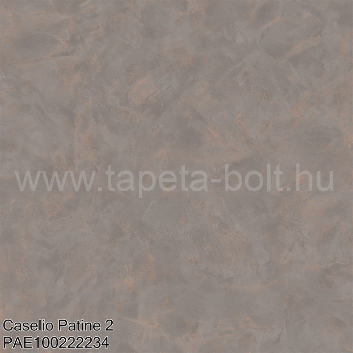 Caselio Patine 2 Pae100222234