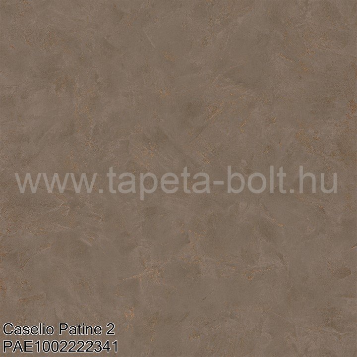 Caselio Patine 2 Pae1002222341
