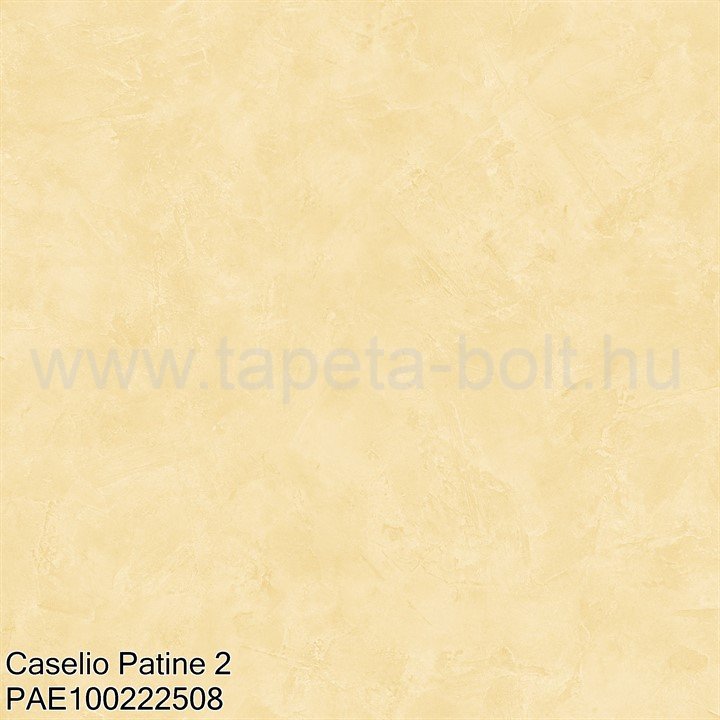 Caselio Patine 2 Pae100222508