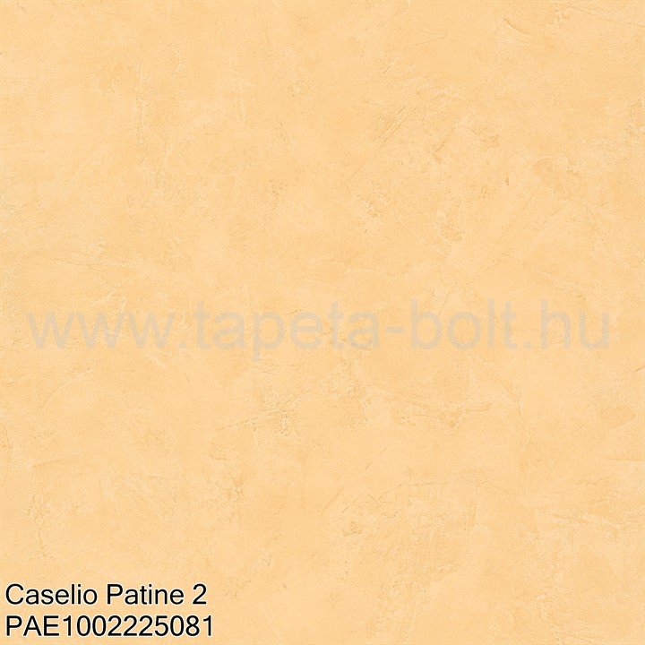 Caselio Patine 2 Pae1002225081