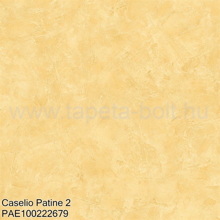 Caselio Patine 2 Pae100222679
