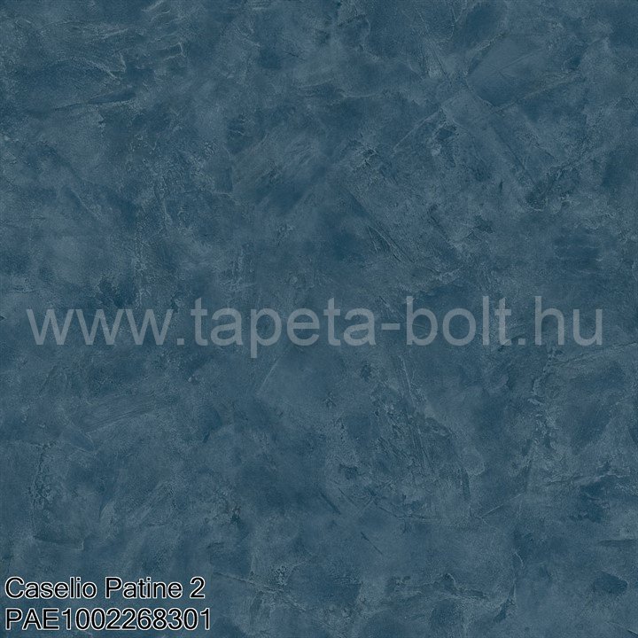 Caselio Patine 2 Pae1002268301