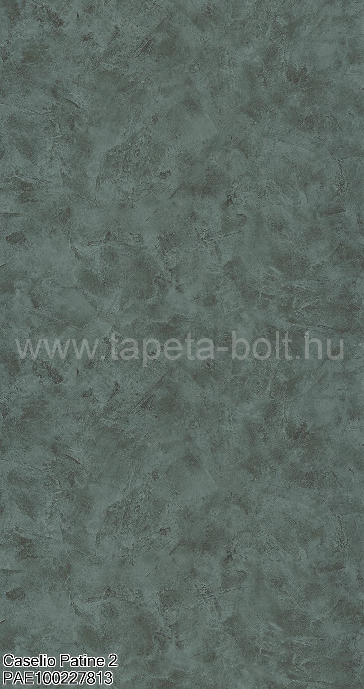 Caselio Patine 2 Pae100227813
