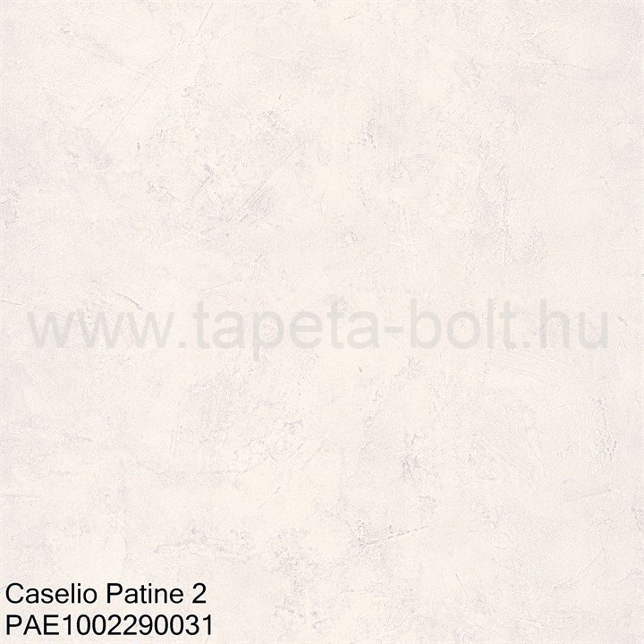 Caselio Patine 2 Pae1002290031
