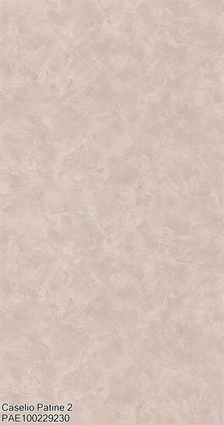 Caselio Patine 2 Pae100229230