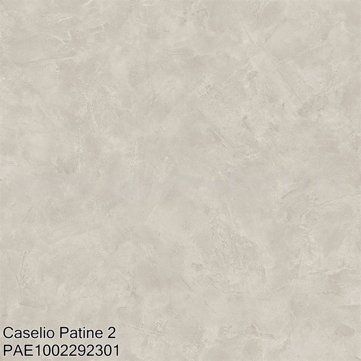 Caselio Patine 2 Pae1002292301