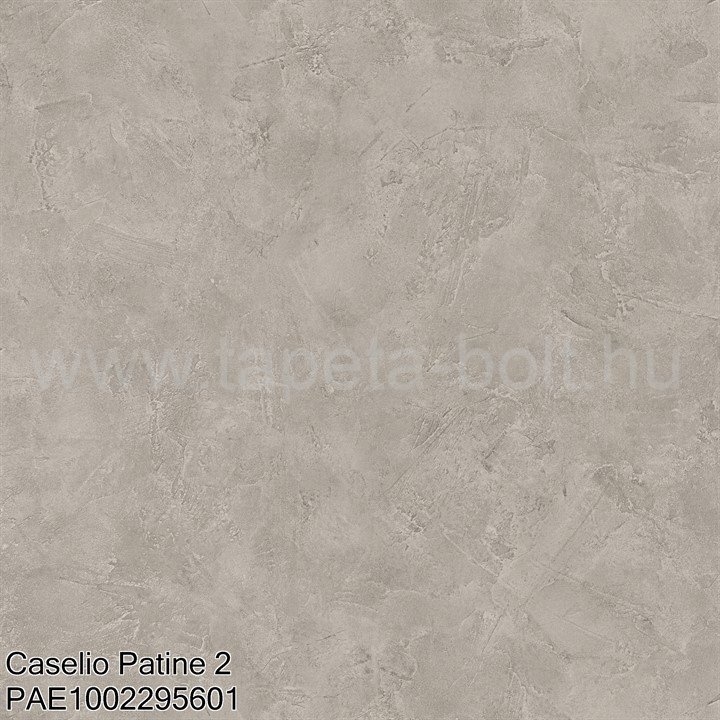 Caselio Patine 2 Pae1002295601