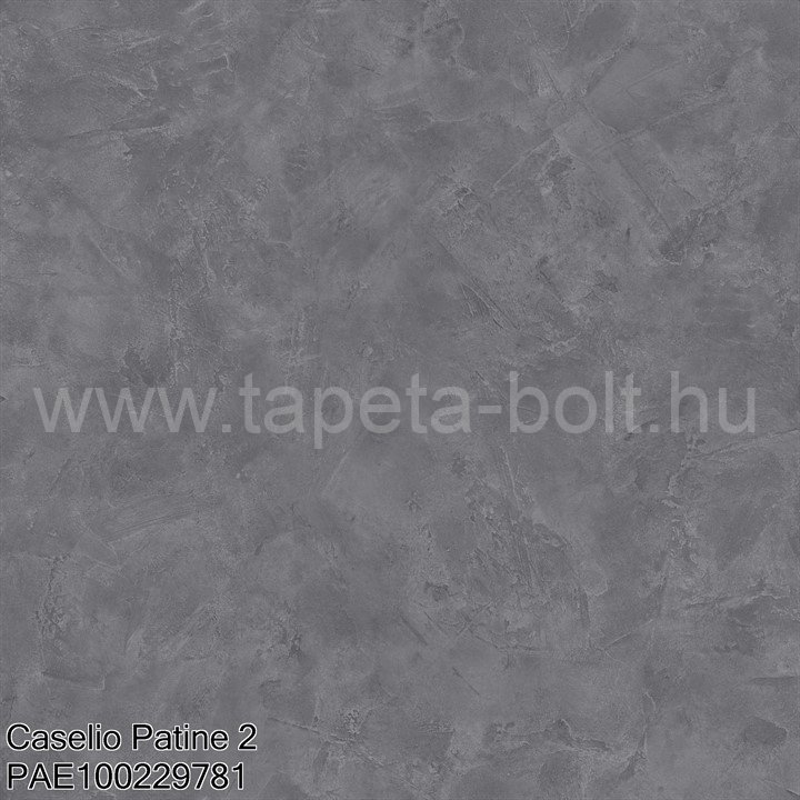 Caselio Patine 2 Pae100229781