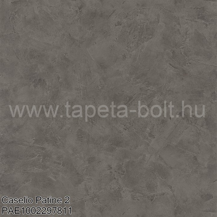 Caselio Patine 2 Pae1002297811
