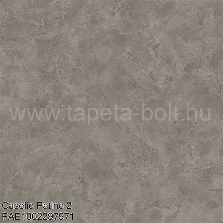Caselio Patine 2 Pae1002297971