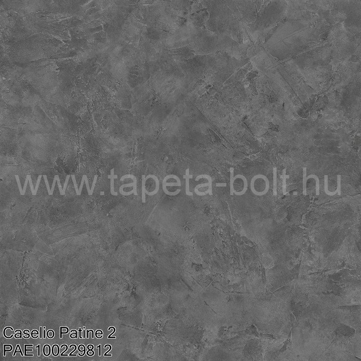 Caselio Patine 2 Pae100229812