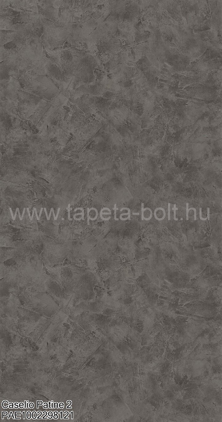 Caselio Patine 2 Pae1002298121
