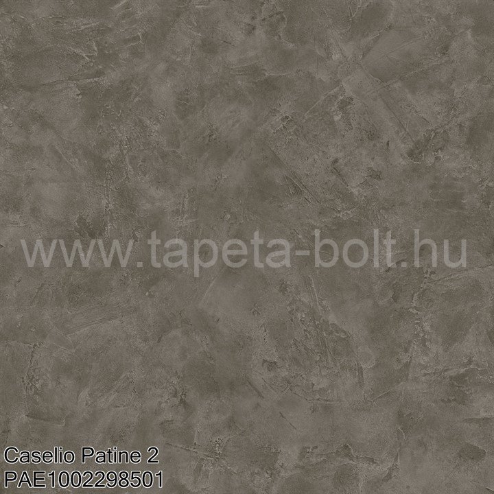 Caselio Patine 2 Pae1002298501