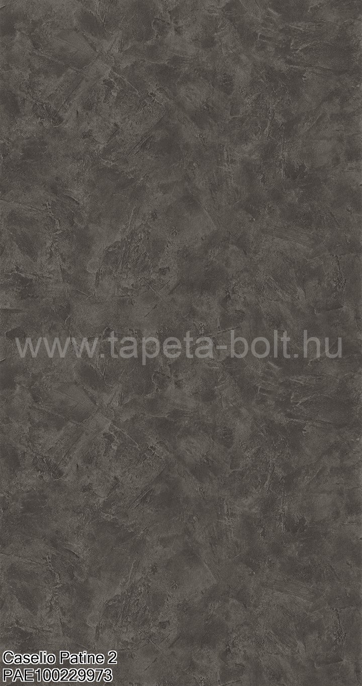 Caselio Patine 2 Pae100229973