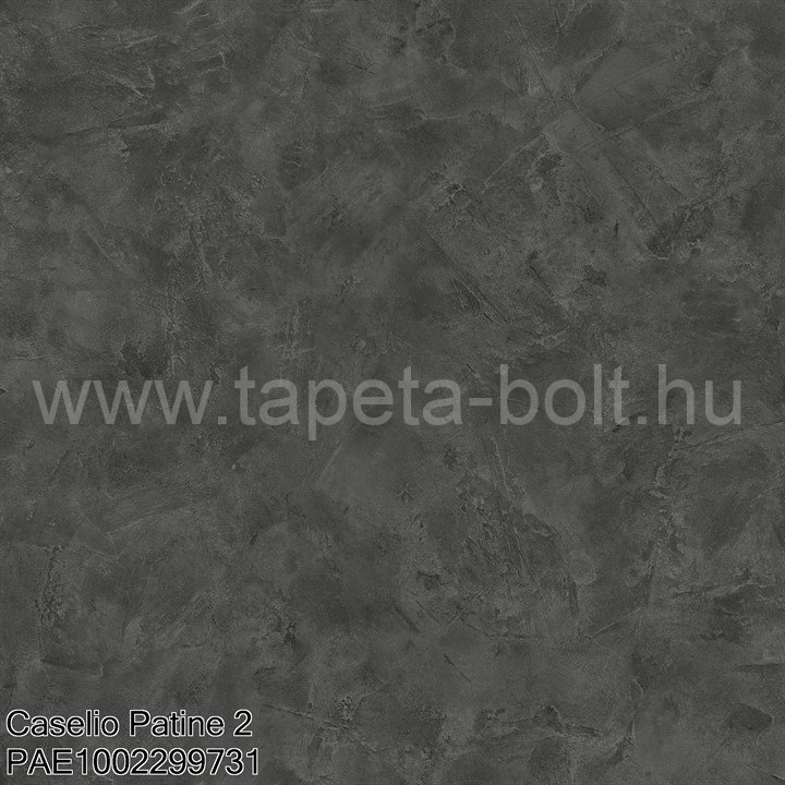 Caselio Patine 2 Pae1002299731