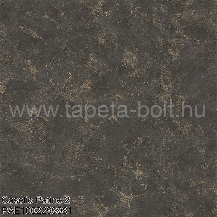 Caselio Patine 2 Pae1002299981