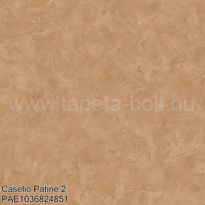 Caselio Patine 2 Pae1036824851