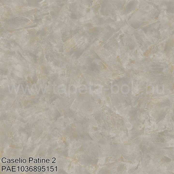 Caselio Patine 2 Pae1036895151