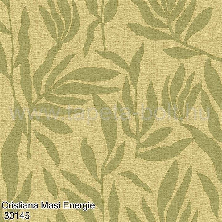 Cristiana Masi Energie 30145