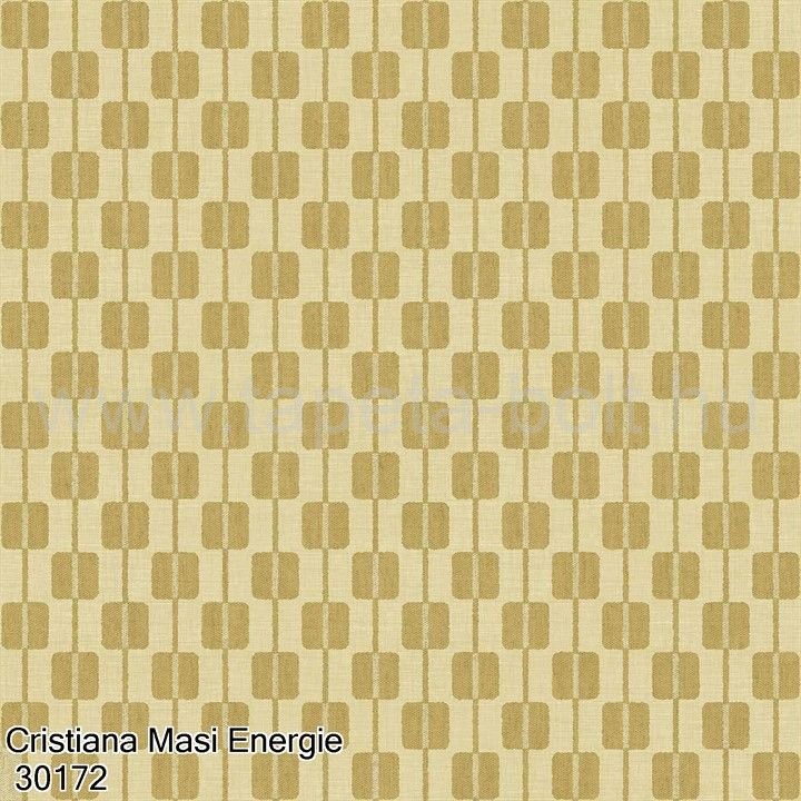 Cristiana Masi Energie 30172