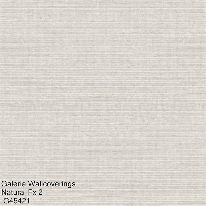 Galeria Wallcoverings Natural Fx 2 G45421
