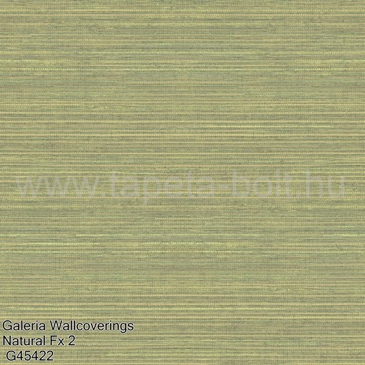 Galeria Wallcoverings Natural Fx 2 G45422