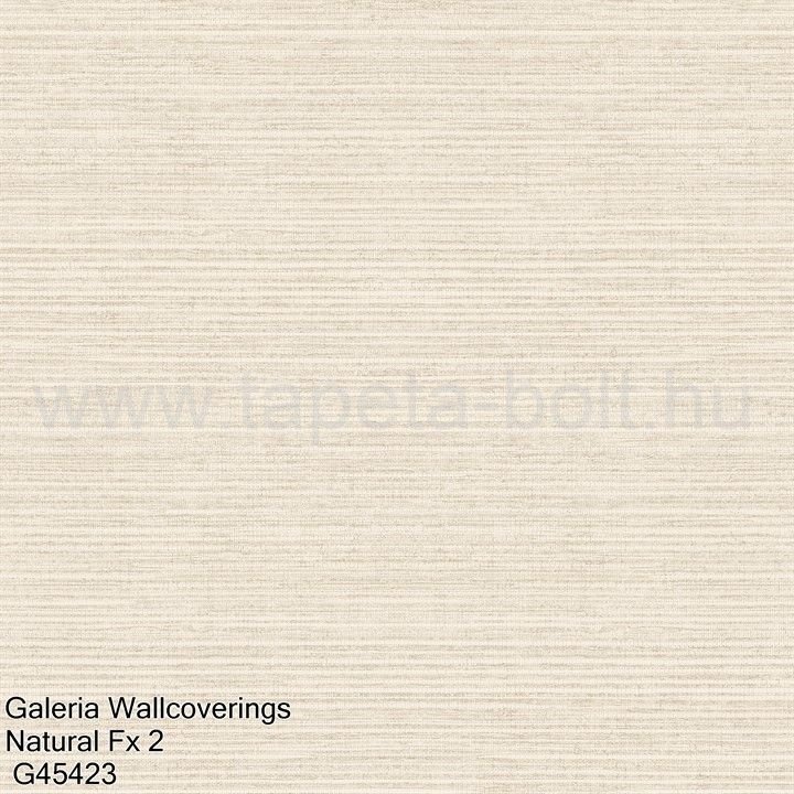 Galeria Wallcoverings Natural Fx 2 G45423